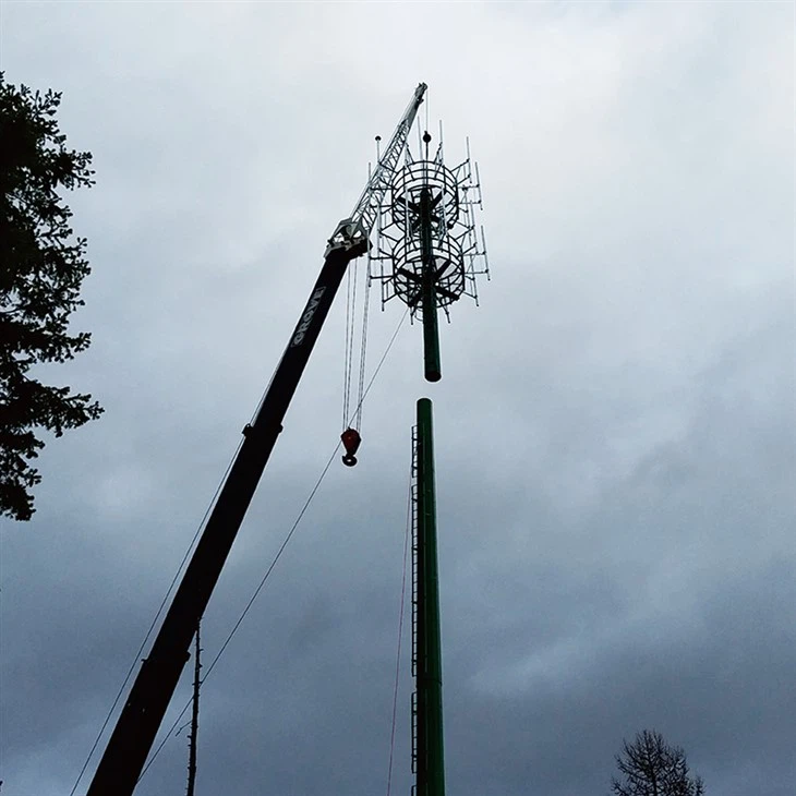 31m Telecom Pole