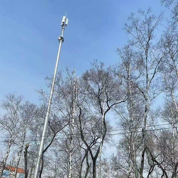 31m Telecom Pole suppliers