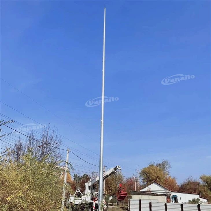 Telecom Pole With Ladder price